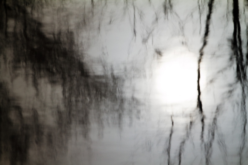 Sun And Branches Reflected In Pond